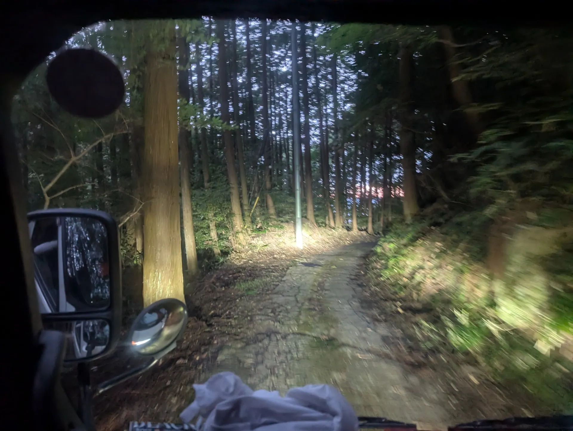 日々のひとコマ(山仕事)